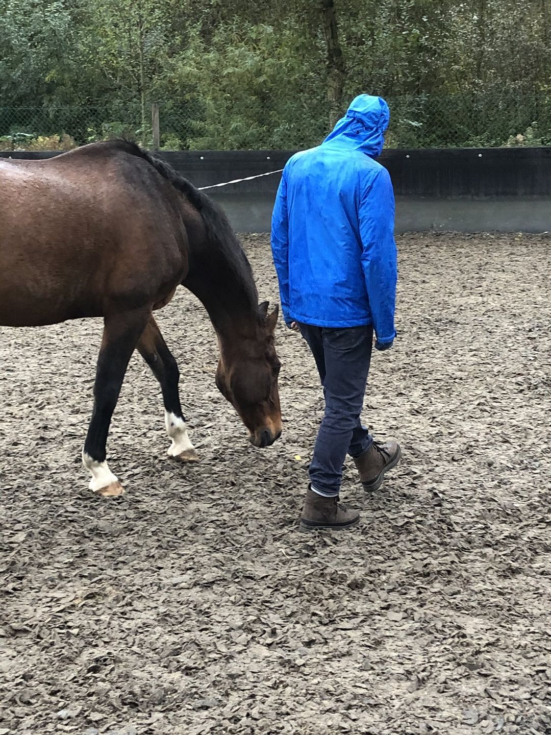 Paardencoaching