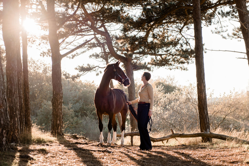 Coaching met paarden Haarlem