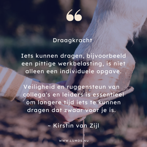 Draagkracht